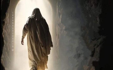 Biografi Ibnu Sab'in dan Ide Tentang al-Wahdatul al-Muthalaqah