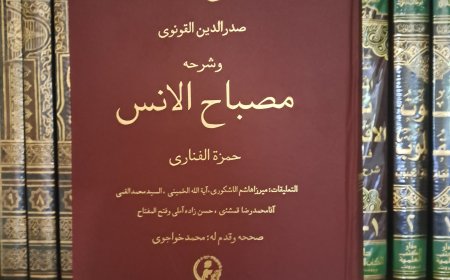 Biografi Syekh Mulla Muhammad Syamsuddin Hamzah Al-Fanari