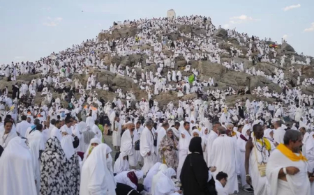 Puncak Haji 2024, Hari Ini Seluruh Jamaah Laksanakan Wukuf di Arafah