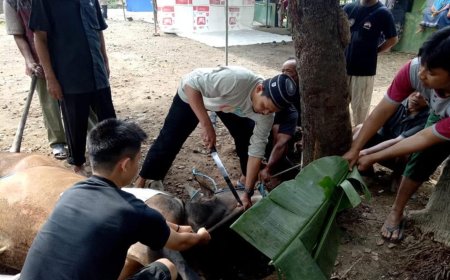 Qurban dan Rekonstruksi Jiwa Manusia